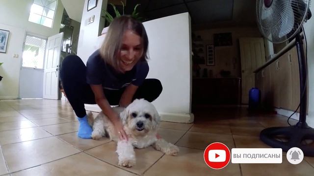 Наш дом на Филиппинах Ferndale Homes. Кесон Сити