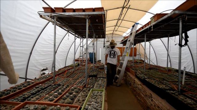 Walkingstick in the Peyote Way Church Green House - May 2016 смотреть онлайн