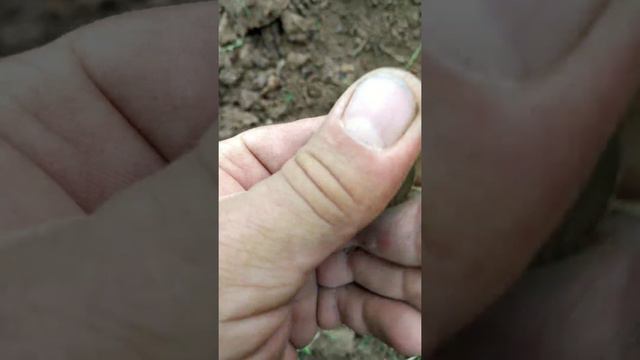 Первое имперское золото с шурфа! смотреть онлайн