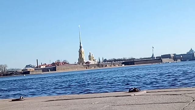 Река Нева Санкт-Петербург смотреть онлайн