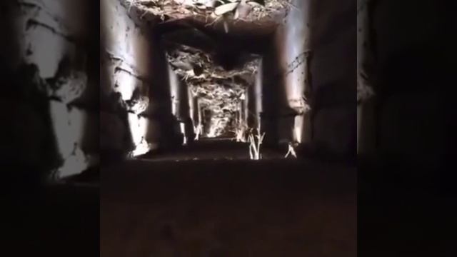 Лох это судьба смотреть онлайн