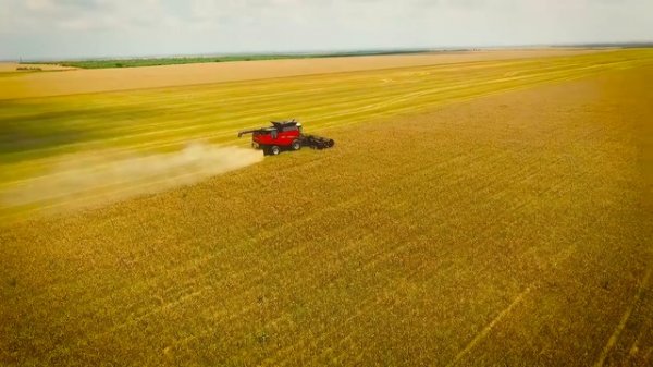 Уборка урожая на комбайне VERSATILE RT490 в США штат Техас