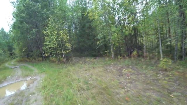 Охота на боровую дичь/Сбор грибов/Осенний сезон открыт смотреть онлайн