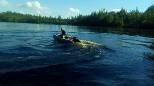 Флагман 300нднд + гладиатор 5