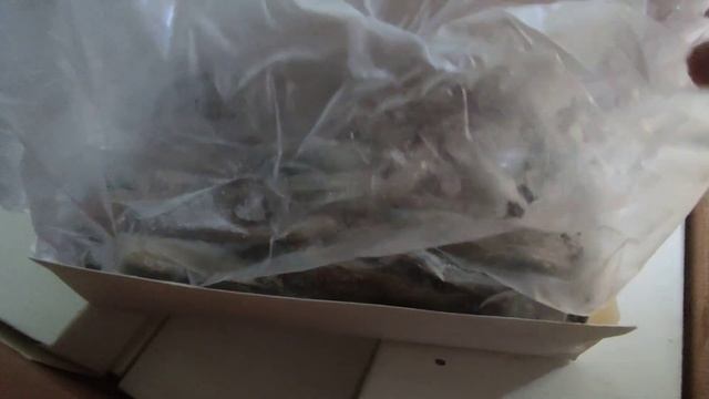 Креветка королевская сыромороженная 30-40 штук в кг смотреть онлайн