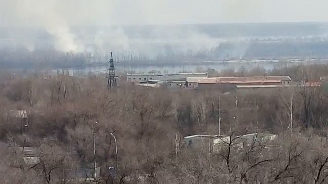 Горит лес в Волгограде смотреть онлайн