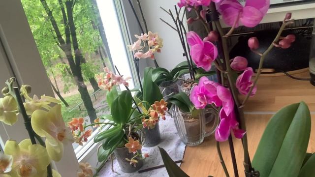 Обзор моих новинок с подарком ?☺️