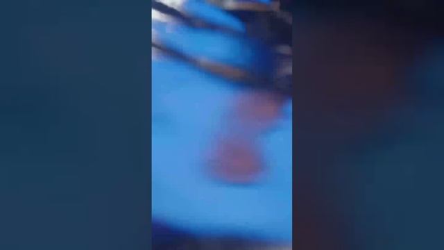 Кулинарное путешествие