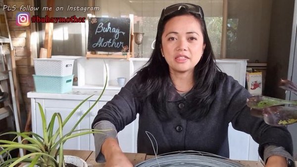 MOUNTING BROMELIADS and AIR PLANT, TROPICAL GARDEN idea using BROMELIAD | BUHAYMOTHER