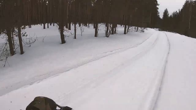Зимний лес смотреть онлайн