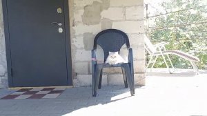 Зафира б. Замена тормозных колодок.