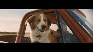 Собачья жизнь: породы собак из 1 и 2 части фильма