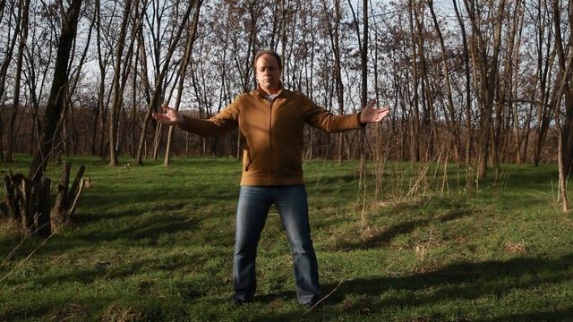 Остановить невроз и прийти к балансу с помощью Цигун упражнения смотреть онлайн