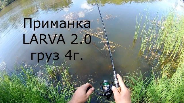 Сарпинский остров южная сторона рыбалка на озере 1 июля 2021 смотреть онлайн