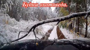 Вот и ушло тепло на юг.