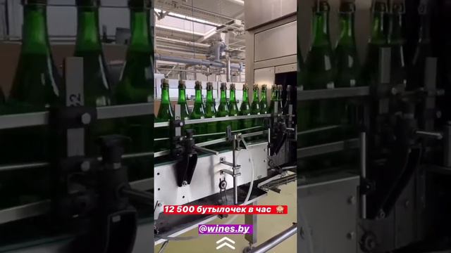 Идем на экскурсию на завод минских игристых вин! смотреть онлайн