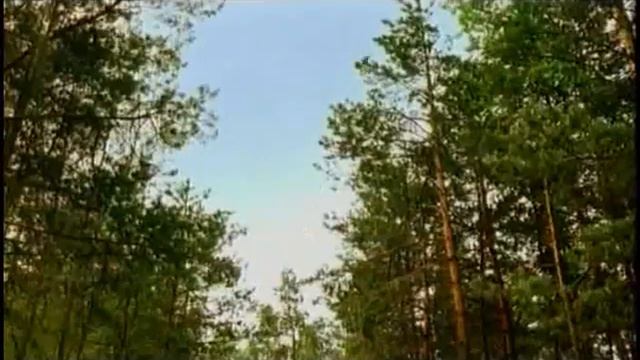 Реклама и анонсы 7ТВ 22.07.2008