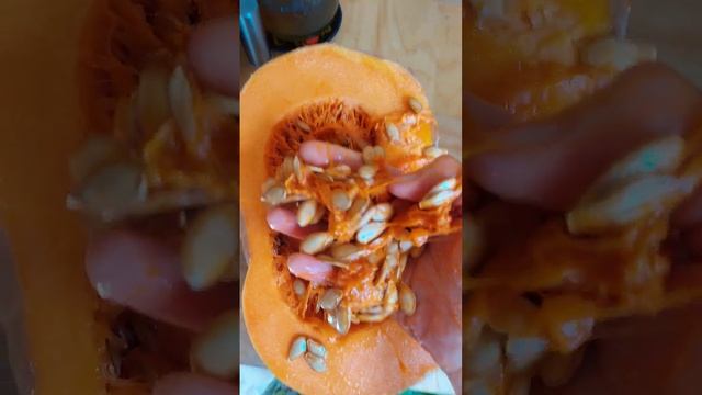 заготовка тыквы. заготовки на зиму, заморозка, тыквенные семечки вытаскиваю. смотреть онлайн