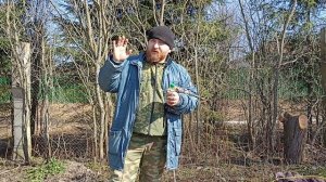 Как умертвить корневую систему дерева. Чтоб дерево засохло. Быстро и эффективно