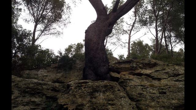 Ballade, bushcraft et flûte - Didier Mermet смотреть онлайн