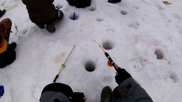 Усадьба Апраксиных, село Ольгово 12.03.22. смотреть онлайн