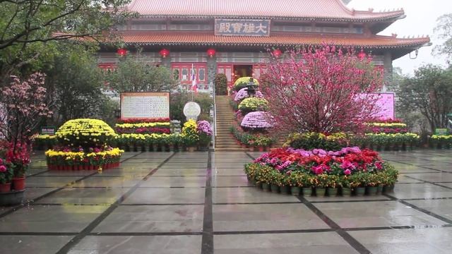 ГОНКОНГ: остров Лантао и Большой Будда #2 смотреть онлайн