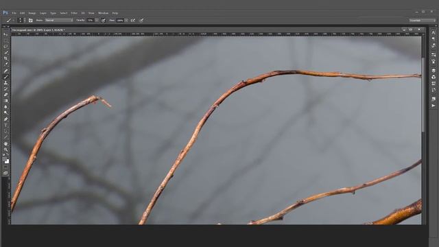 Последний лист - коллаж в Photoshop смотреть онлайн