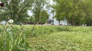 STIHL FS 350 mows grass / Штиль ФС350 на покосе травы со щитком (Stihl Auto Cut 46-2 / G500 PC)
