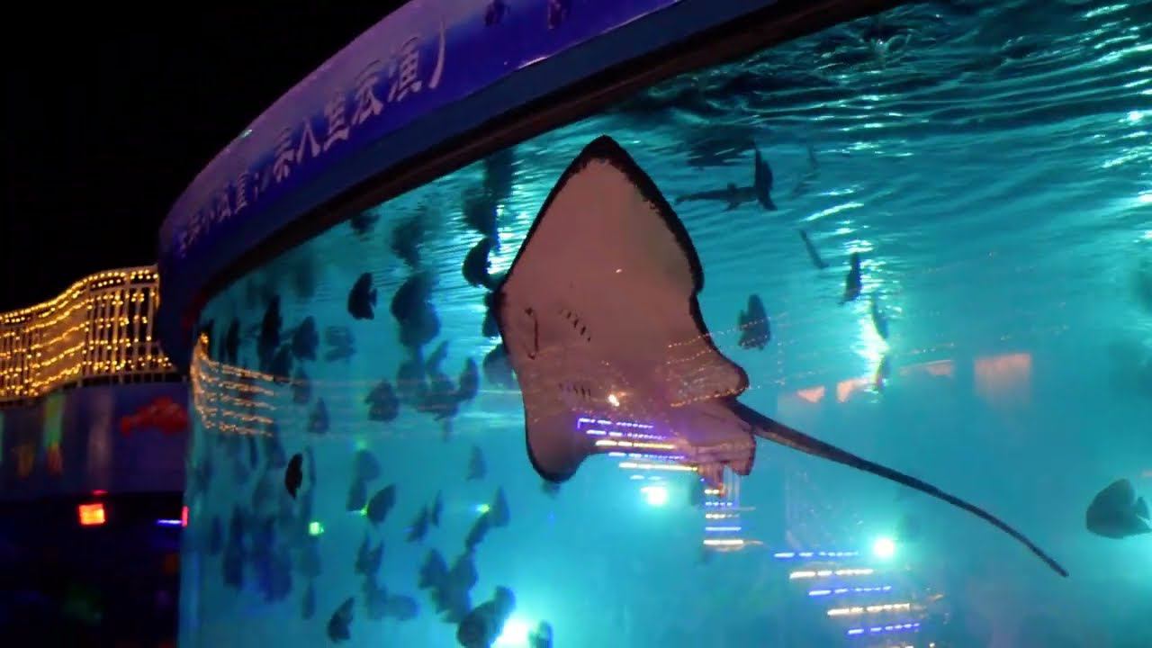 КИТАЙ УДИВЛЯЕТ! Увидели ночью в Китае такую красоту! смотреть онлайн