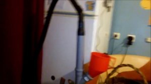 чистка лесных ягод