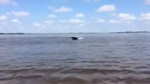 лодка Гладиатор с  надувным дном E380 + мотор Гладиатор 15