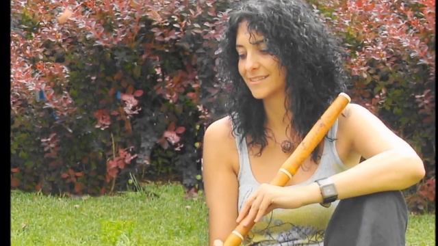 MONTSERRAT GASCÓN, John Stanley Solo op. 4 n. 5 traverso.wmv смотреть онлайн