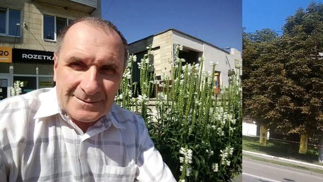 Хотел снять уличную торговлю, и забыл переключить камеру только звук. Фон с бывшего видел и фото смотреть онлайн