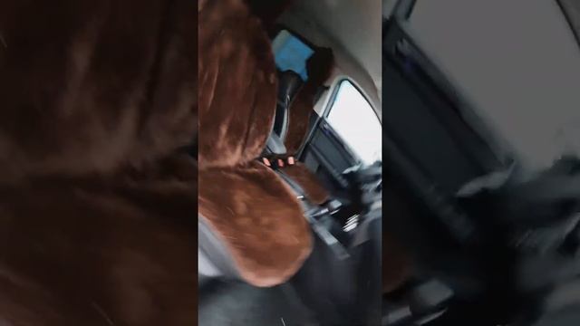 У нас появились накидки из овечьей шерсти на сидения авто:) смотреть онлайн