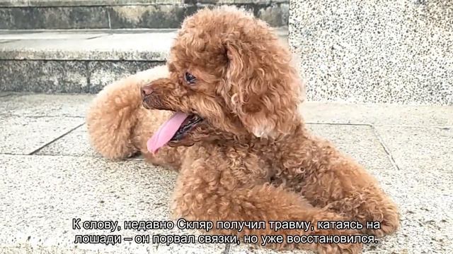 В гостях: как выглядит поместье 63-летнего Игоря Скляра смотреть онлайн