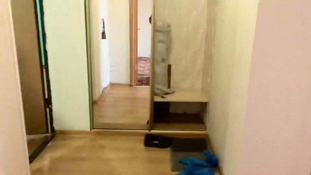 Аренда 1-квартиры 35 кв.м. г. Реутов, ул. Победы, д.30 смотреть онлайн