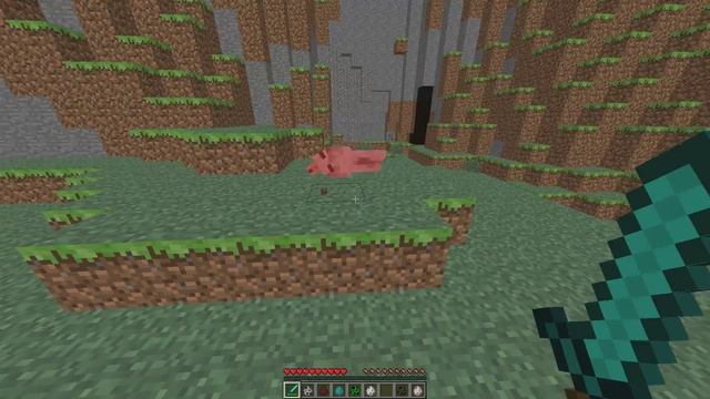 Обзор мода minecraft превращение в животных (Morph) №4 смотреть онлайн