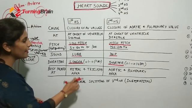 Heart anatomy, Heart Sounds, & Conducting System of Heart смотреть онлайн
