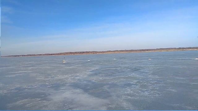 озеро Червяное   последний лед   02 04 2023 год