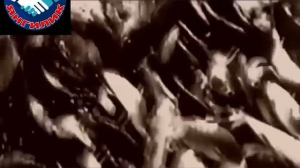 Аральское море. Orol Dengiz 1960yillar va 2023 yil Xazirgi xalati #karakalpakstan #nukus #moynak