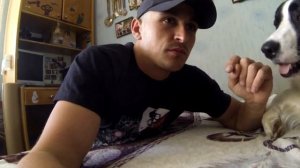 11. Если собака рычит на хозяина. Агрессивная собака