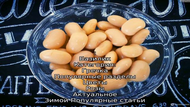Карта сайта смотреть онлайн