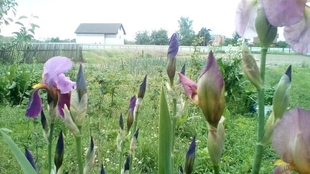 Христианские стихи с глубоким смыслом. смотреть онлайн