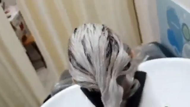 Окрашивание Шатуш Shatush @vagram_jilavyan Instagram