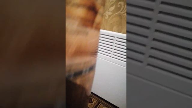 Чипсы Лейс красная икра вернули легендарный вкус смотреть онлайн