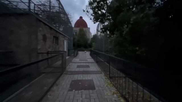 Чужая собака забежала в зоопарк и лаем пугает животных! Вот почему в парк нельзя заходить с собакам смотреть онлайн