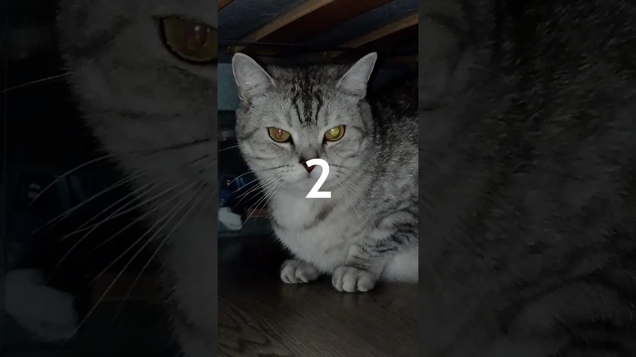 Не лайкай это видео! #shorts смотреть онлайн