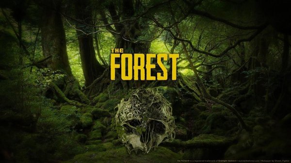 The Forest Начало
