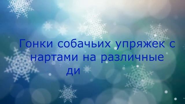 Ездовой Спорт... Что это такое? смотреть онлайн