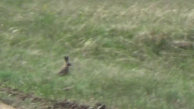 Каменный овраг смотреть онлайн